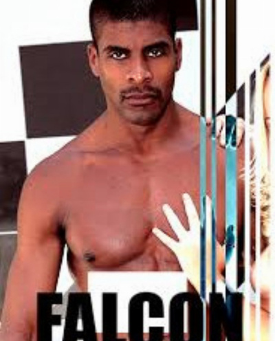 Falcon X