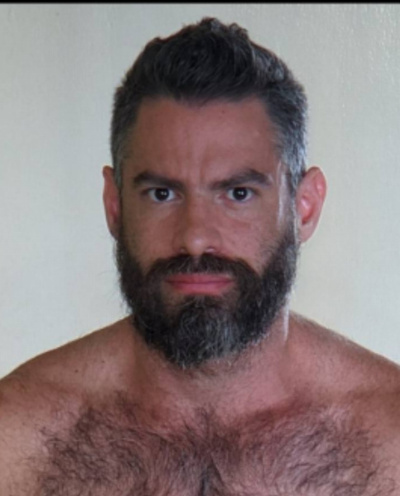 Flavio Bear