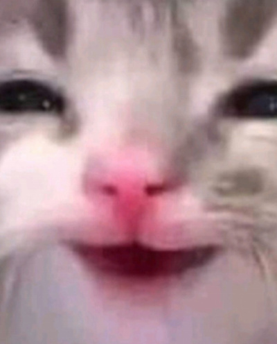 Notacake