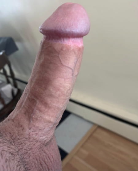 Pisun