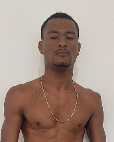 Will Carioca